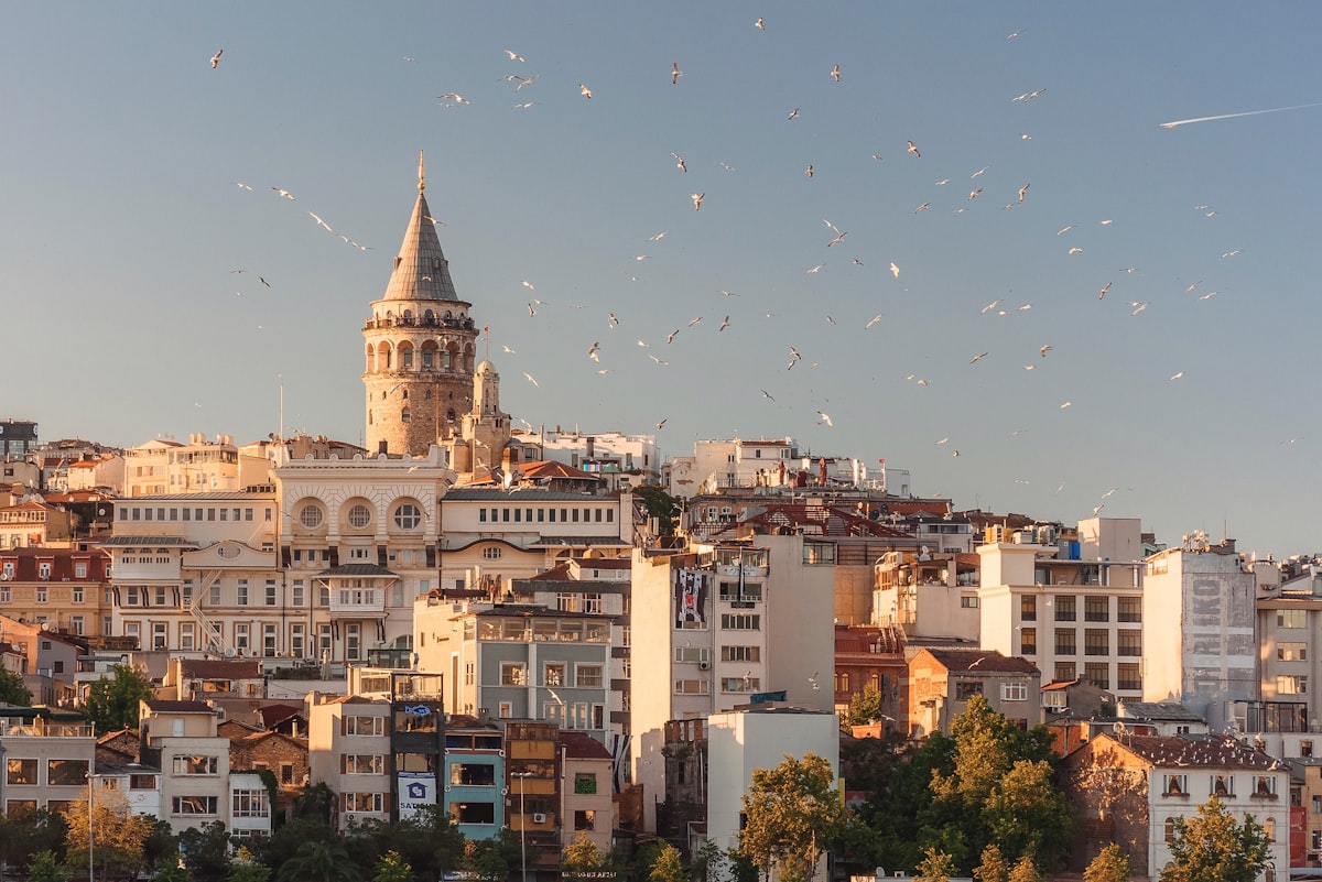 İstanbul’da işletmeler için web sitesi ve yazılım ile dijital büyüme